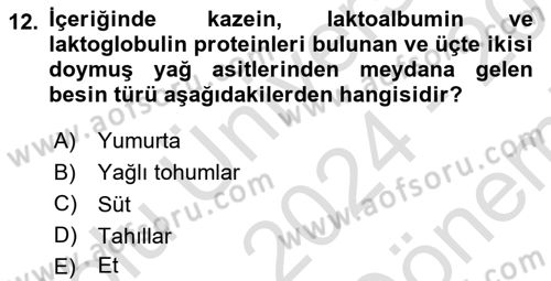 Beslenmenin Temel İlkeleri Dersi 2024 - 2025 Yılı (Final) Dönem Sonu Sınav Soruları 12. Soru