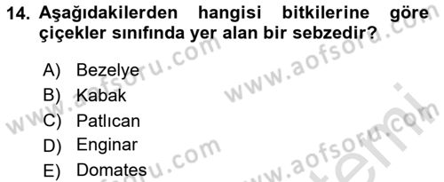 Beslenmenin Temel İlkeleri Dersi 2024 - 2025 Yılı (Final) Dönem Sonu Sınav Soruları 14. Soru