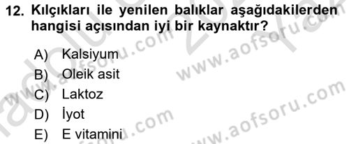 Beslenmenin Temel İlkeleri Dersi 2024 - 2025 Yılı Yaz Okulu Sınav Soruları 12. Soru