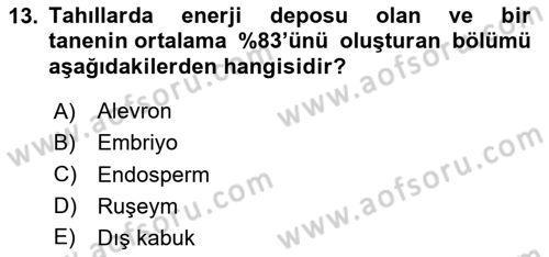 Beslenmenin Temel İlkeleri Dersi 2024 - 2025 Yılı Yaz Okulu Sınav Soruları 13. Soru