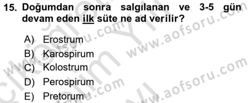 Beslenmenin Temel İlkeleri Dersi 2024 - 2025 Yılı Yaz Okulu Sınav Soruları 15. Soru