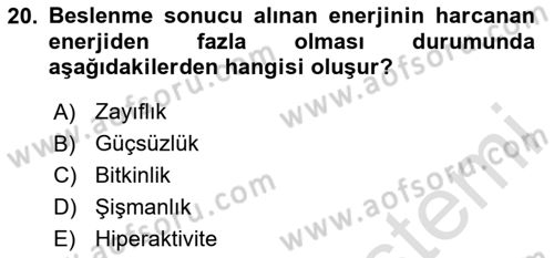 Beslenmenin Temel İlkeleri Dersi 2024 - 2025 Yılı Yaz Okulu Sınav Soruları 20. Soru
