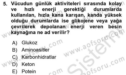 Beslenmenin Temel İlkeleri Dersi 2024 - 2025 Yılı Yaz Okulu Sınav Soruları 5. Soru