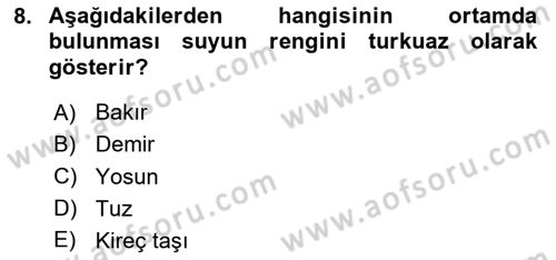 Beslenmenin Temel İlkeleri Dersi 2024 - 2025 Yılı Yaz Okulu Sınav Soruları 8. Soru