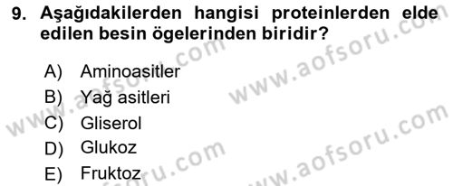 Beslenmenin Temel İlkeleri Dersi 2024 - 2025 Yılı Yaz Okulu Sınav Soruları 9. Soru