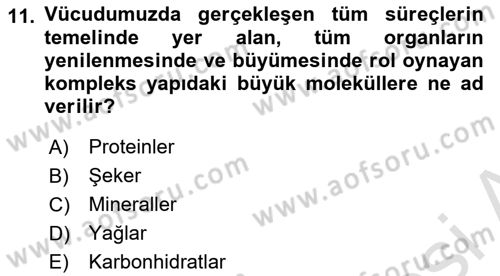 Beslenmenin Temel İlkeleri Dersi 2025 - 2026 Yılı (Vize) Ara Sınav Soruları 11. Soru