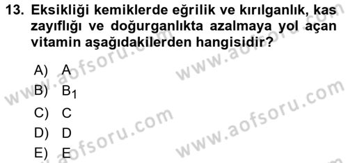 Beslenmenin Temel İlkeleri Dersi 2025 - 2026 Yılı (Vize) Ara Sınav Soruları 13. Soru