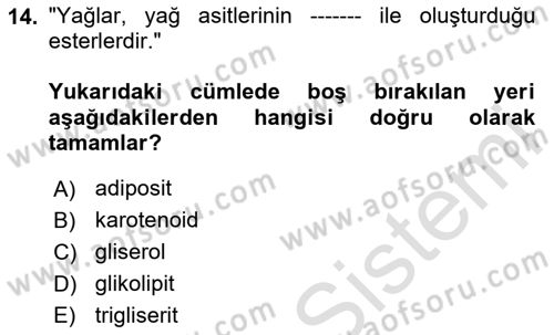Beslenmenin Temel İlkeleri Dersi 2025 - 2026 Yılı (Vize) Ara Sınav Soruları 14. Soru