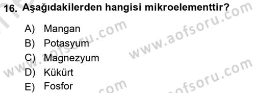 Beslenmenin Temel İlkeleri Dersi 2025 - 2026 Yılı (Vize) Ara Sınav Soruları 16. Soru