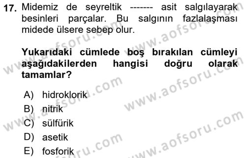 Beslenmenin Temel İlkeleri Dersi 2025 - 2026 Yılı (Vize) Ara Sınav Soruları 17. Soru