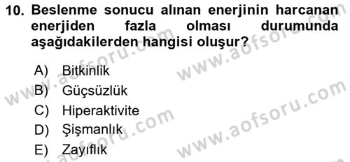 Beslenmenin Temel İlkeleri Dersi 2025 - 2026 Yılı (Final) Dönem Sonu Sınav Soruları 10. Soru