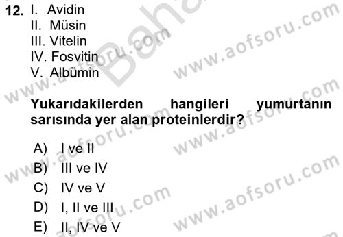 Beslenmenin Temel İlkeleri Dersi 2025 - 2026 Yılı (Final) Dönem Sonu Sınav Soruları 12. Soru