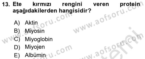 Beslenmenin Temel İlkeleri Dersi 2025 - 2026 Yılı (Final) Dönem Sonu Sınav Soruları 13. Soru