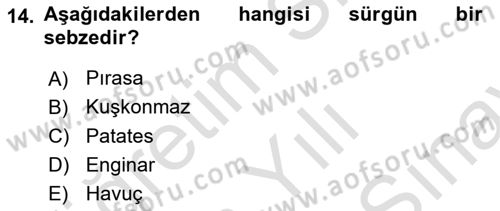 Beslenmenin Temel İlkeleri Dersi 2025 - 2026 Yılı (Final) Dönem Sonu Sınav Soruları 14. Soru