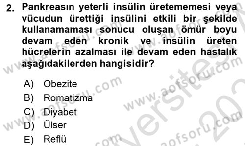 Beslenmenin Temel İlkeleri Dersi 2025 - 2026 Yılı (Final) Dönem Sonu Sınav Soruları 2. Soru