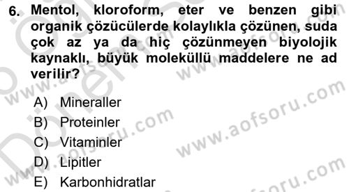 Beslenmenin Temel İlkeleri Dersi 2025 - 2026 Yılı (Final) Dönem Sonu Sınav Soruları 6. Soru