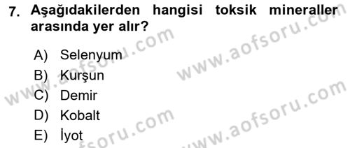 Beslenmenin Temel İlkeleri Dersi 2025 - 2026 Yılı (Final) Dönem Sonu Sınav Soruları 7. Soru