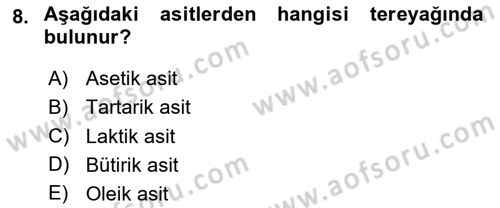 Beslenmenin Temel İlkeleri Dersi 2025 - 2026 Yılı (Final) Dönem Sonu Sınav Soruları 8. Soru