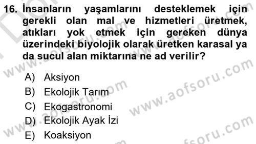 Gastronomi Ve Sürdürülebilirlik Dersi 2023 - 2024 Yılı (Final) Dönem Sonu Sınavı 16. Soru