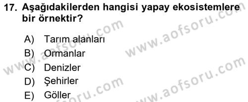 Gastronomi Ve Sürdürülebilirlik Dersi 2023 - 2024 Yılı Yaz Okulu Sınav Soruları 17. Soru