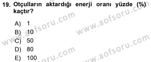 Gastronomi Ve Sürdürülebilirlik Dersi 2025 - 2026 Yılı (Final) Dönem Sonu Sınav Soruları 19. Soru