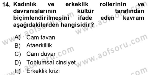 Yemek Sosyolojisi Dersi 2020 - 2021 Yılı Yaz Okulu Sınavı 14. Soru