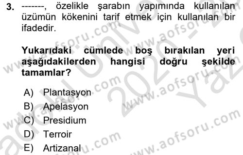 Yemek Sosyolojisi Dersi 2020 - 2021 Yılı Yaz Okulu Sınav Soruları 3. Soru