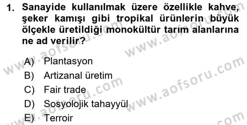 Yemek Sosyolojisi Dersi 2021 - 2022 Yılı (Vize) Ara Sınav Soruları 1. Soru