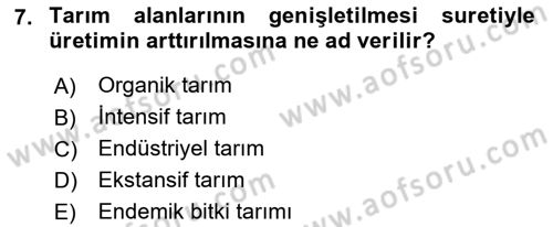 Yemek Sosyolojisi Dersi 2021 - 2022 Yılı (Final) Dönem Sonu Sınav Soruları 7. Soru
