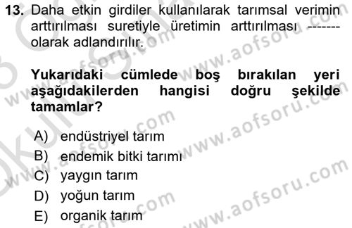 Yemek Sosyolojisi Dersi 2022 - 2023 Yılı Yaz Okulu Sınavı 13. Soru