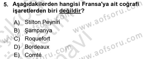 Yemek Sosyolojisi Dersi 2022 - 2023 Yılı Yaz Okulu Sınavı 5. Soru