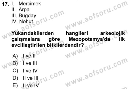 Yemek Sosyolojisi Dersi 2023 - 2024 Yılı (Vize) Ara Sınav Soruları 17. Soru