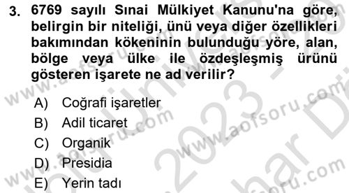 Yemek Sosyolojisi Dersi 2023 - 2024 Yılı (Vize) Ara Sınav Soruları 3. Soru