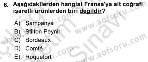 Yemek Sosyolojisi Dersi 2023 - 2024 Yılı (Vize) Ara Sınav Soruları 6. Soru