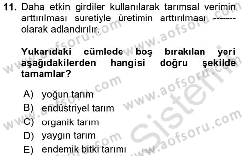 Yemek Sosyolojisi Dersi 2023 - 2024 Yılı (Final) Dönem Sonu Sınav Soruları 11. Soru