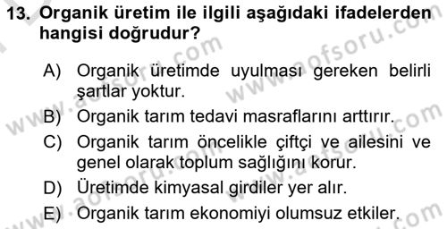 Yemek Sosyolojisi Dersi 2023 - 2024 Yılı (Final) Dönem Sonu Sınav Soruları 13. Soru