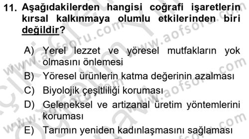 Yemek Sosyolojisi Dersi 2023 - 2024 Yılı Yaz Okulu Sınav Soruları 11. Soru