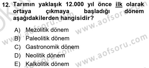 Yemek Sosyolojisi Dersi 2023 - 2024 Yılı Yaz Okulu Sınav Soruları 12. Soru