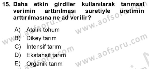 Yemek Sosyolojisi Dersi 2023 - 2024 Yılı Yaz Okulu Sınav Soruları 15. Soru