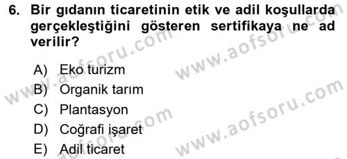 Yemek Sosyolojisi Dersi 2023 - 2024 Yılı Yaz Okulu Sınav Soruları 6. Soru