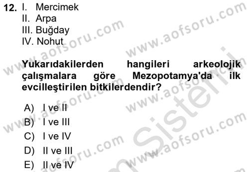 Yemek Sosyolojisi Dersi 2024 - 2025 Yılı (Vize) Ara Sınav Soruları 12. Soru