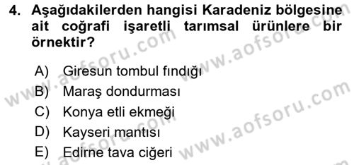Yemek Sosyolojisi Dersi 2024 - 2025 Yılı (Vize) Ara Sınav Soruları 4. Soru