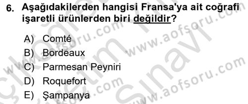 Yemek Sosyolojisi Dersi 2024 - 2025 Yılı (Vize) Ara Sınav Soruları 6. Soru