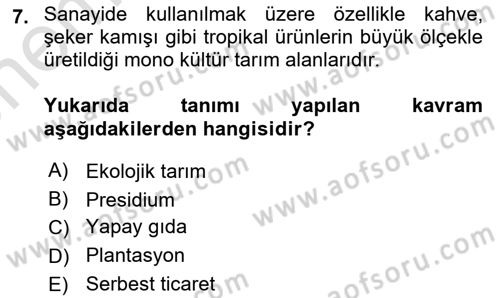 Yemek Sosyolojisi Dersi 2024 - 2025 Yılı (Vize) Ara Sınav Soruları 7. Soru