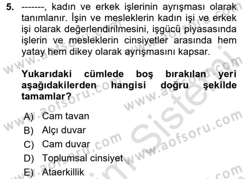 Yemek Sosyolojisi Dersi 2024 - 2025 Yılı (Final) Dönem Sonu Sınav Soruları 5. Soru