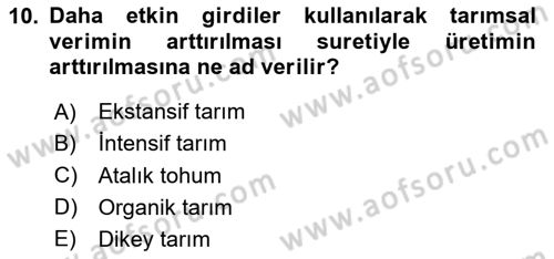 Yemek Sosyolojisi Dersi 2024 - 2025 Yılı Yaz Okulu Sınav Soruları 10. Soru