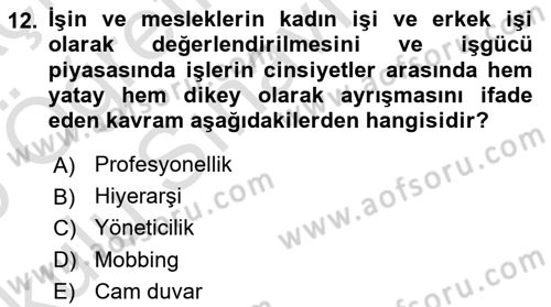 Yemek Sosyolojisi Dersi 2024 - 2025 Yılı Yaz Okulu Sınav Soruları 12. Soru