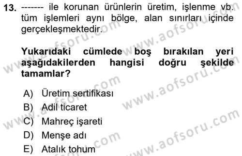 Yemek Sosyolojisi Dersi 2024 - 2025 Yılı Yaz Okulu Sınav Soruları 13. Soru