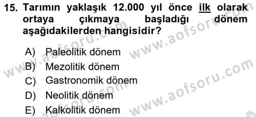 Yemek Sosyolojisi Dersi 2024 - 2025 Yılı Yaz Okulu Sınav Soruları 15. Soru