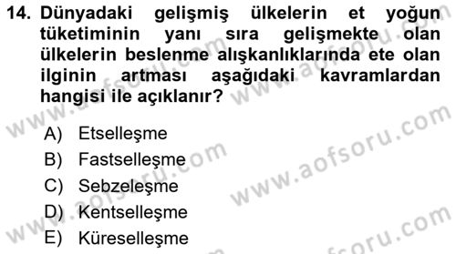 Yemek Sosyolojisi Dersi 2025 - 2026 Yılı (Vize) Ara Sınav Soruları 14. Soru